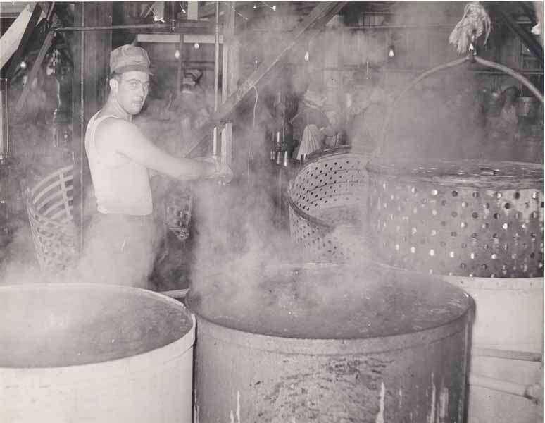 Canning Tomatoes