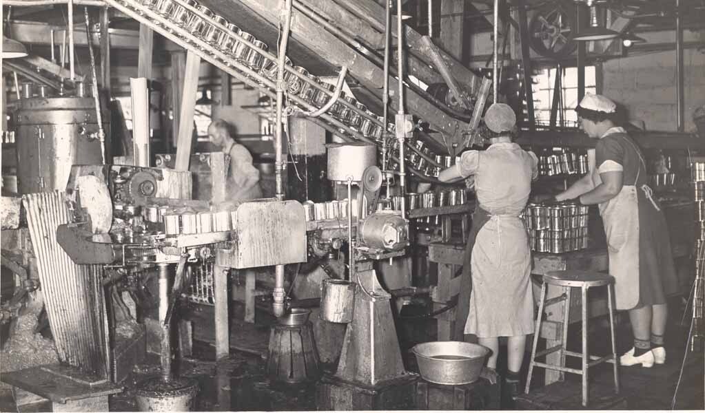 Canning Tomatoes